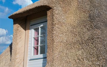 Droman thatch roof disadvantages